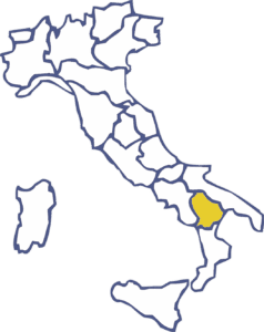 Pulizie Basilicata