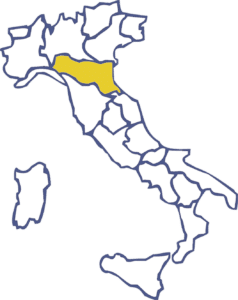Pulizie Emilia Romagna