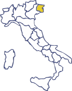 Pulizie Friuli-Venezia Giulia