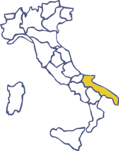 Pulizie Puglia