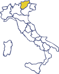 Pulizie Trentino-Alto Adige