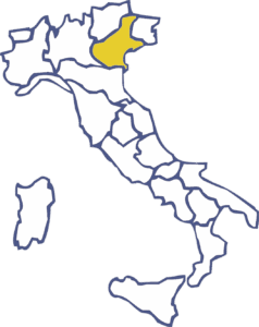 Pulizie Veneto